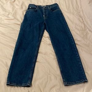 Everlane The Way High Jean - size 27 - Vintage Indigo